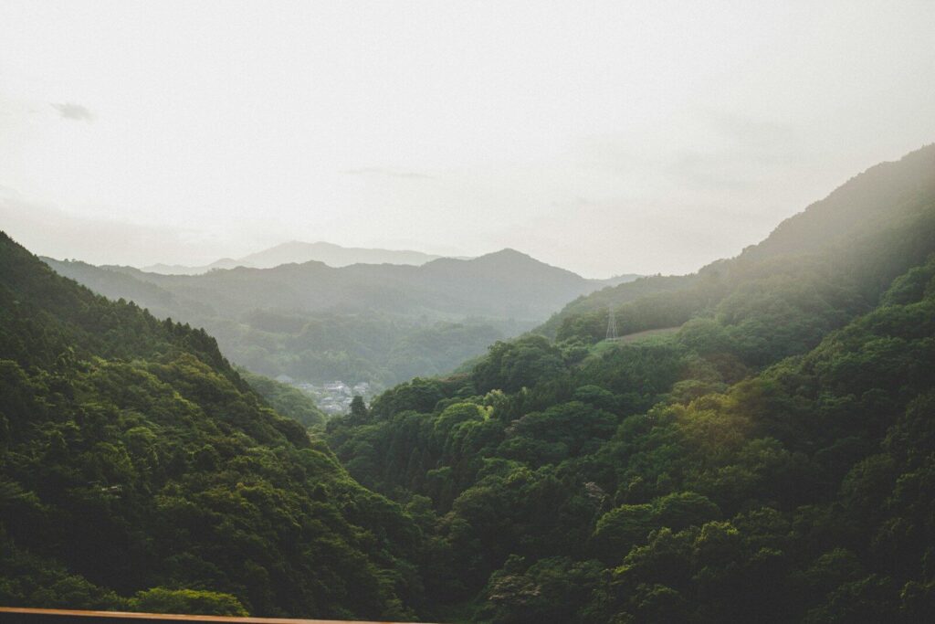 Misty green mountain landscape in Japan